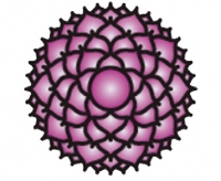 7. Crown chakra